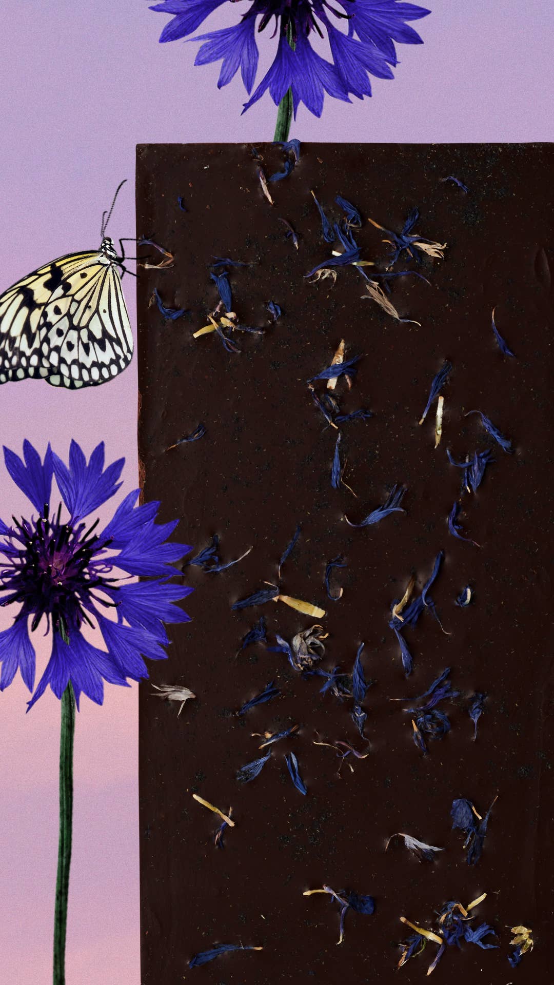 85% RAW DARK CHOCOLATE TABLETS: Blue Cornflower & Ajaparita: Radiant Skin