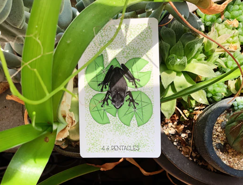 Wayhome - Tarot Deck
