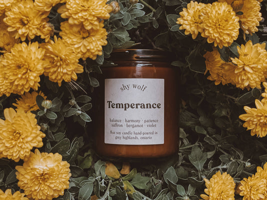 Temperance Candle - Tarot Soy Candle